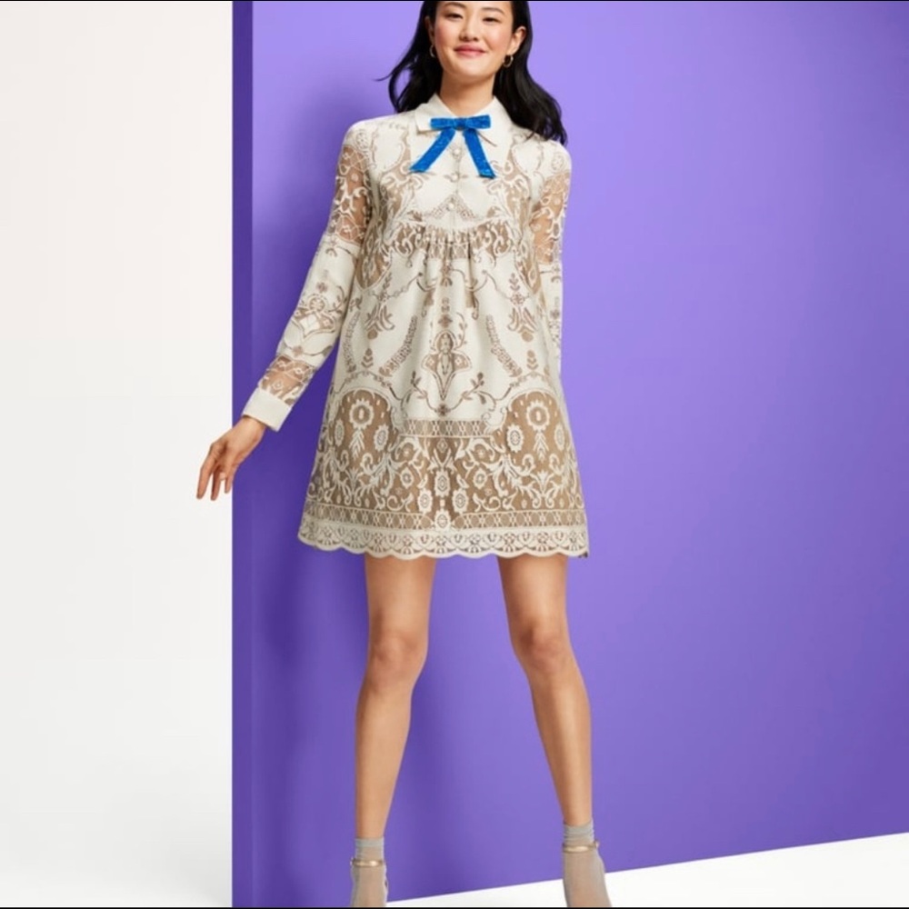Ana Sui Lace Long Sleeve Shift Mini Dress  NWT